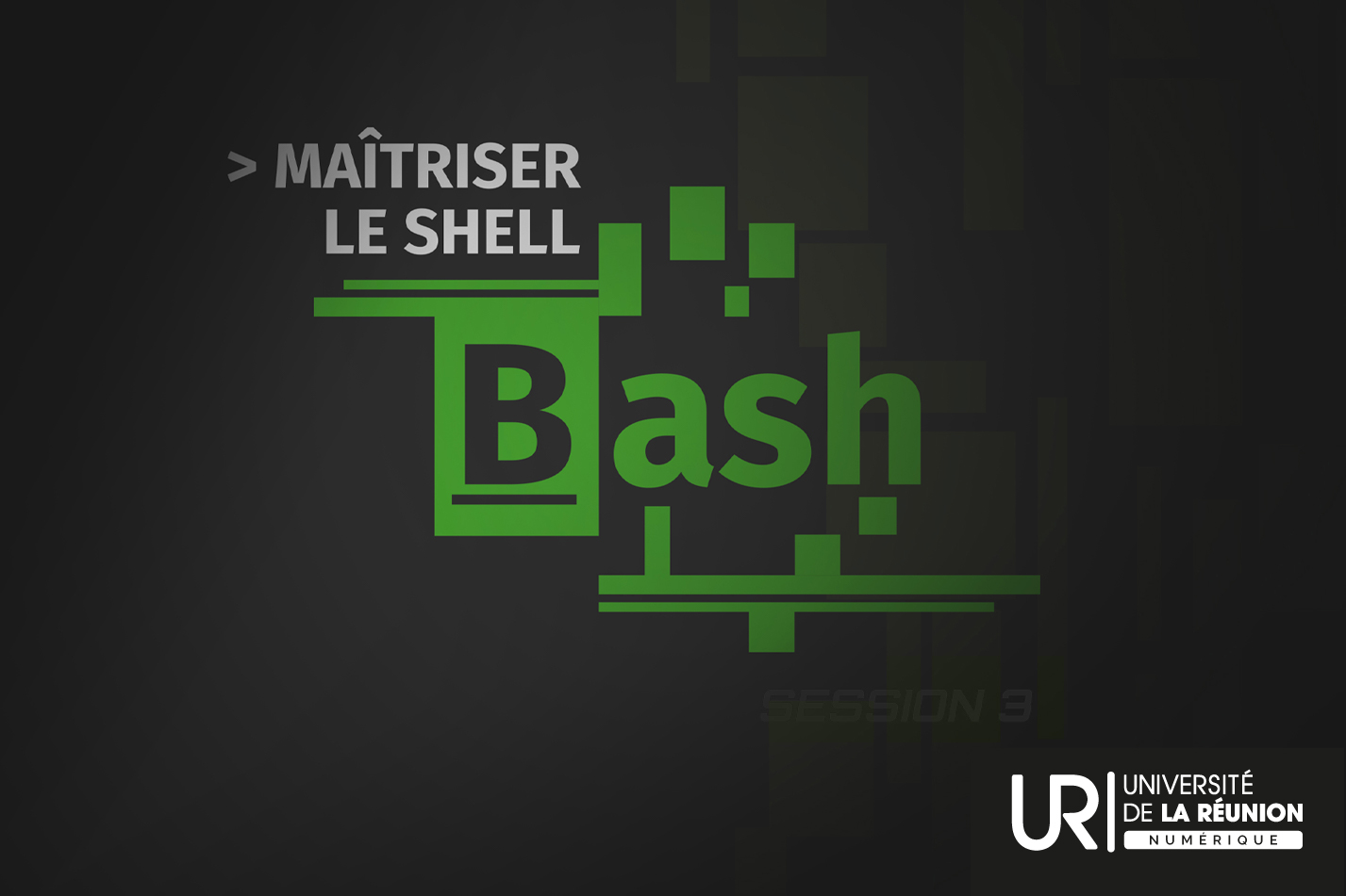 Maîtriser le shell Bash 