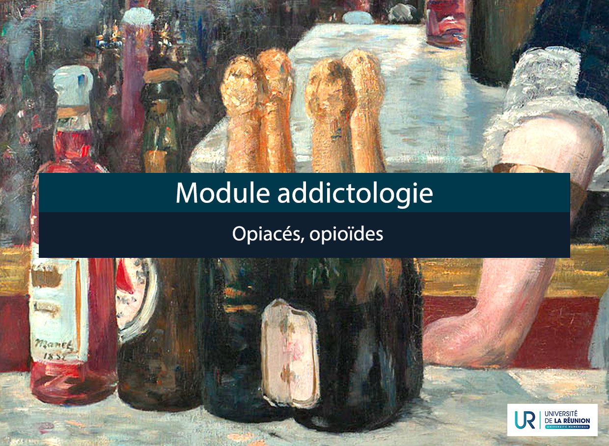 ZZZ_Module Addictologie : Opiacés, opioïdes URDUADDICT_MOD8
